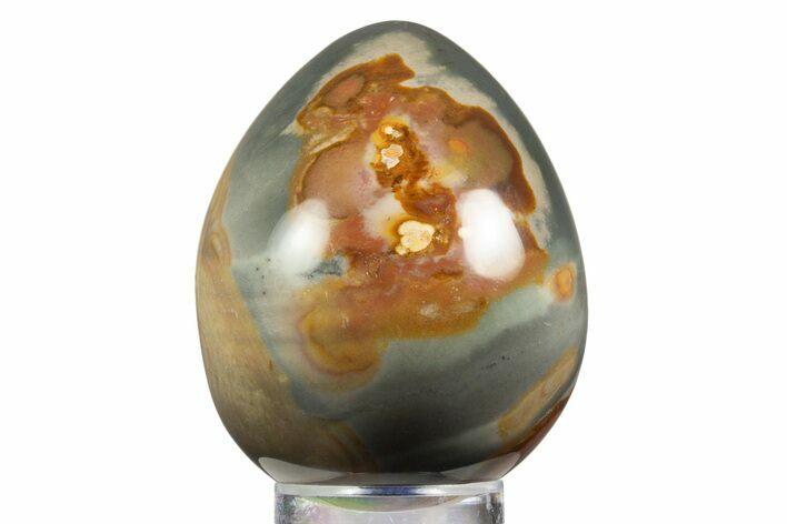 Polished Polychrome Jasper Egg - Madagascar #331720